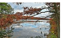 lake irene in hazle twp